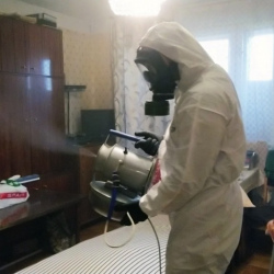 Дезинфекция от клопов в Себеже